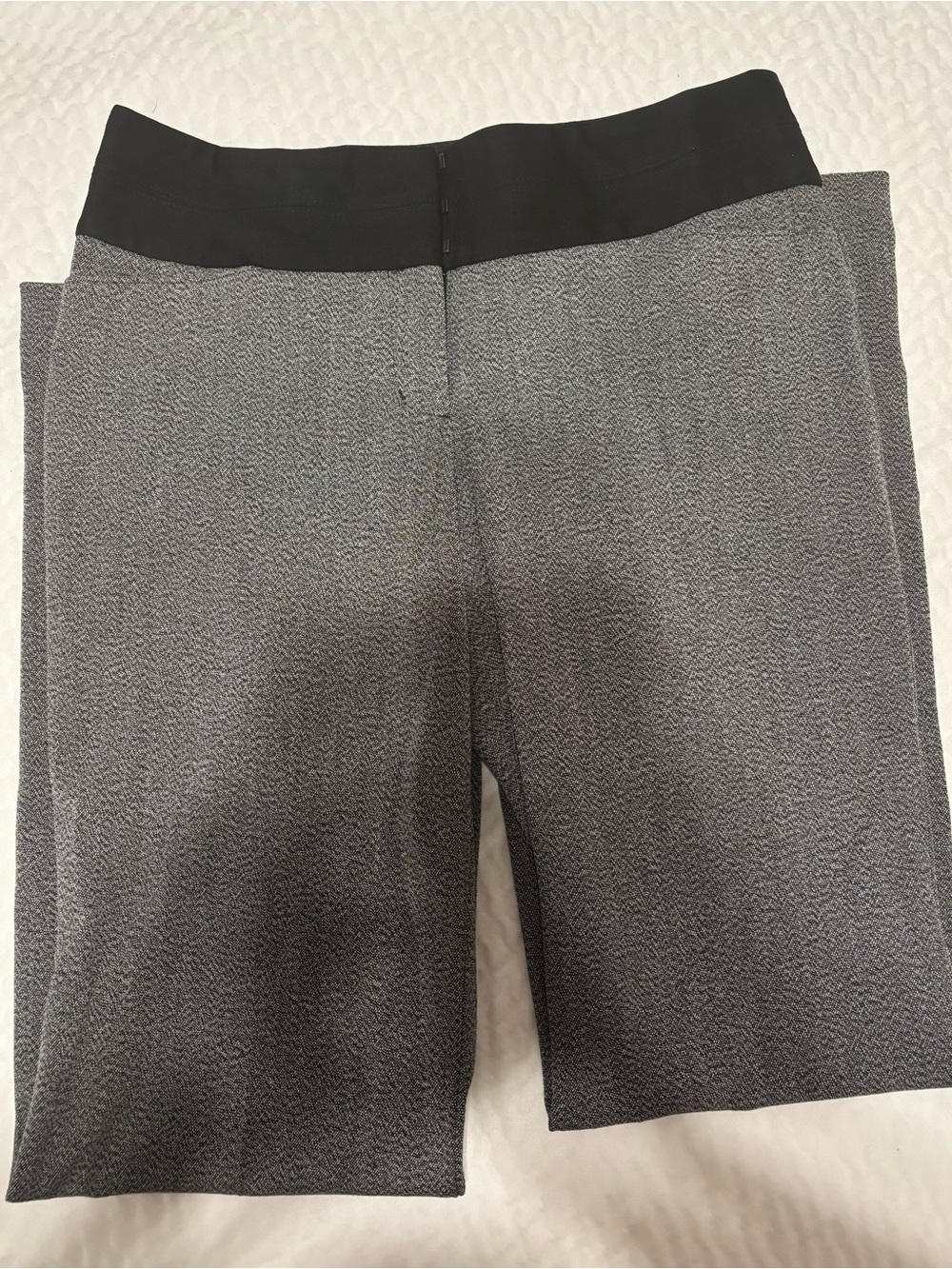 Women’s Gray Express Editor bootcut pants